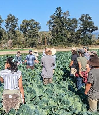 Report outlines top concerns in California organic agriculture