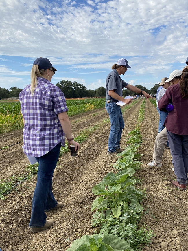 Brad Hanson, center, of the Department of Plant Sciences, describes symptoms from several types of herbicides that work by blocking amino acid synthesis in annual crops including sunflower