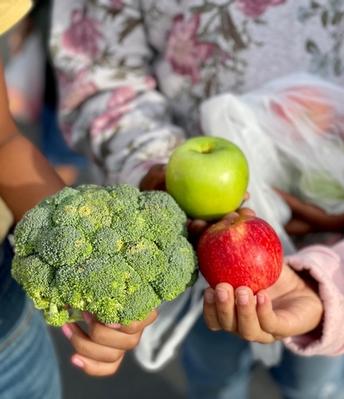 Investments in farm-to-school program stabilize small farms