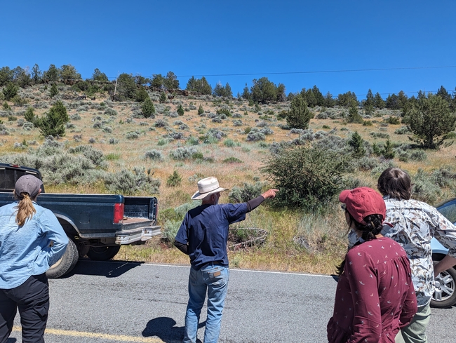 A man gestures to vegetation on a hillside as visitors look on