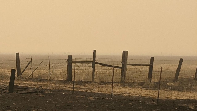 This fencing was destroyed by wildfire. Surveys show that, while ranchers and farmers are suffering serious economic losses from wildfires in California, they are feeling even greater strain on their physical and mental health. Photo by Tracy Schohr, UC ANR