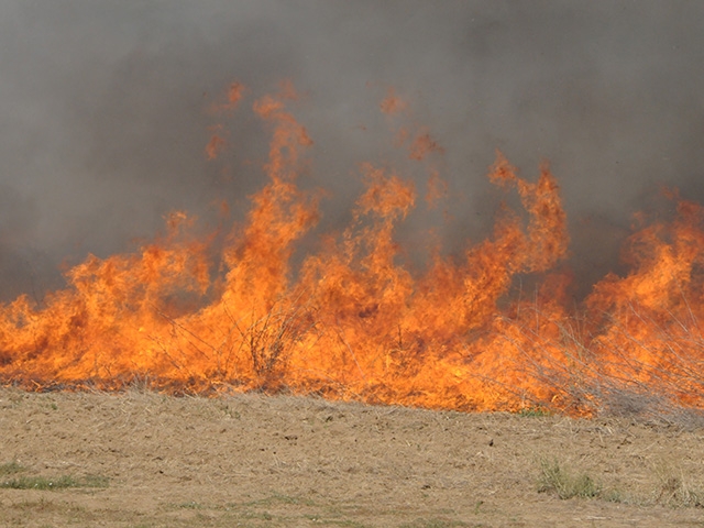 Orange flames and gray smoke from a grassland fire