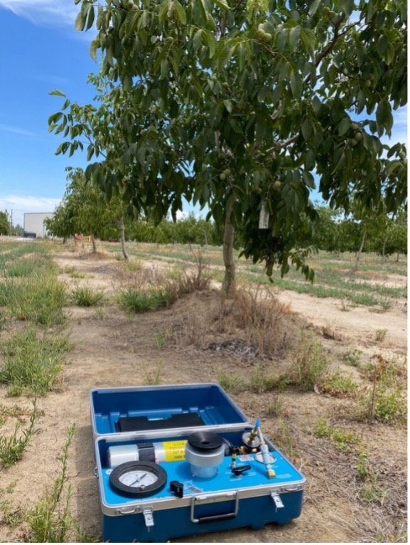 An irrigation test kit sits open in an orchard with walnut trees in background.