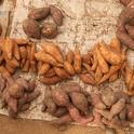Orange-fleshed sweet potatoes might not seem exotic to American eaters, but they are making a difference for many African farmers and consumers.