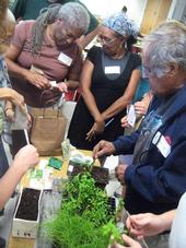 Grow LA participants at the Natural History Museum.