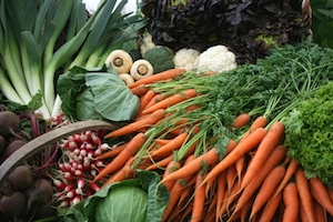 fresh-picked vegetables