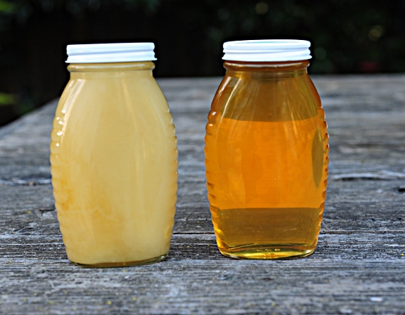 Starthistle honey: granulated or crystalized on the left; liquid honey on the right.