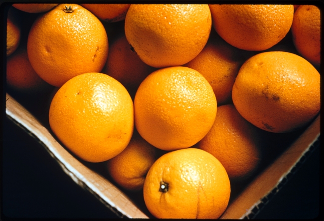 Los Angeles Unified School District has purchased Riverside County oranges over Florida citrus through its local food purchasing initiative.