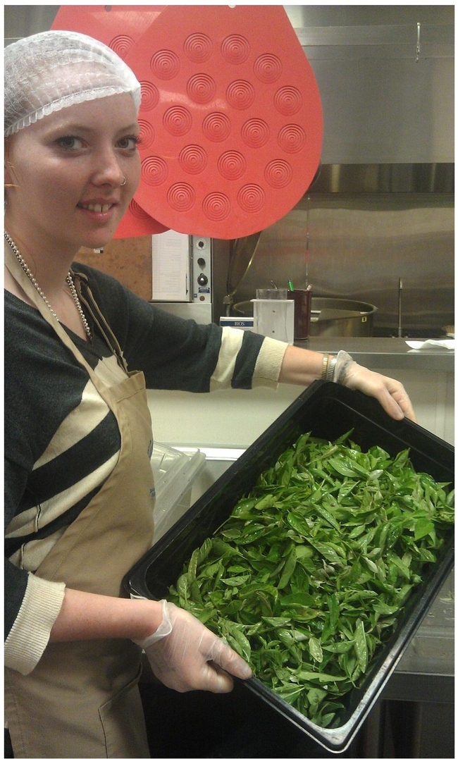 Davis high school student shows off the basil picked from a school garden