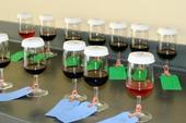Wine samples ready for tasting at UC Davis. (photo: Ann Filmer / UC Davis)