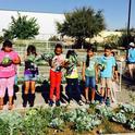 Third-graders at Pixley elementary with their summer garden.
