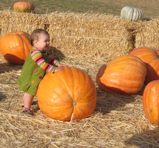 toddler with pumpkin