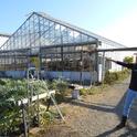 Urban farmer Pilar Rebar gives a UC ANR team a tour of her organic seedling operation in Richmond, Calif.