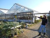 Urban farmer Pilar Rebar gives a UC ANR team a tour of her organic seedling operation in Richmond, CA.