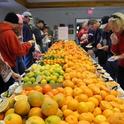 Hundreds of different citrus varieties are available for tasting at last year's citrus tasting event.
