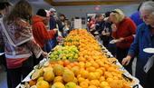 Hundreds of different citrus varieties are available for tasting at last year's citrus tasting event.
