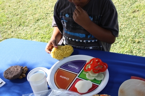 A child places food on the MyPlate template.