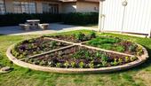 The newly planted pizza garden at the UC Desert Research and Extension Center in Holtville.