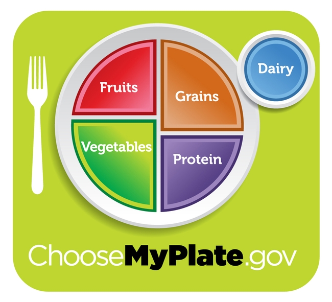 The USDA's MyPlate infographic.