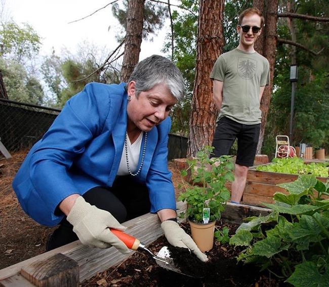 President Napolitano digs in garden during launch of the Global Food Initiative.