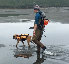 Missy Partyka of WIFSS walks with her dog Lady Jane along the muddy flats of Tomales Bay look for clams.
