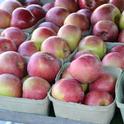 Fall marks the height of apple season in California. With an abundance of apples available at an affordable price, it is the perfect time to preserve.