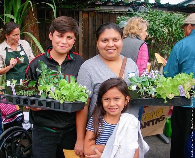 La Mesa Verde gives families seedlings for gardens.