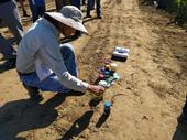 UC Cooperative Extension advisor Gene Miyao looks at biofertilizer in its various stages, from raw waste to fertilizer
