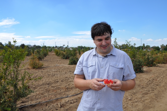 Doctoral student John Chater is following the footsteps of his grandfather in developing new pomegranate varieties.
