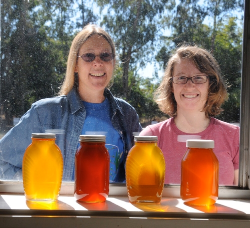 SHOW ME THE HONEY--Bee breeder-geneticist Susan Cobey (left), manager of the Harry H. Laidlaw Jr. Honey Bee Research Facility at UC Davis, and beekeeper Elizabeth Frost with samples of honey. (Photo by Kathy Keatley Garvey)