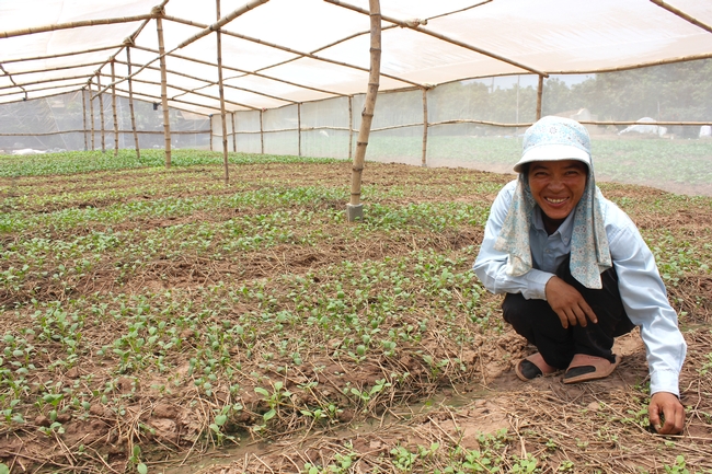 Woman crouching, smiling among vegetable seedlings in a nethouse structure.