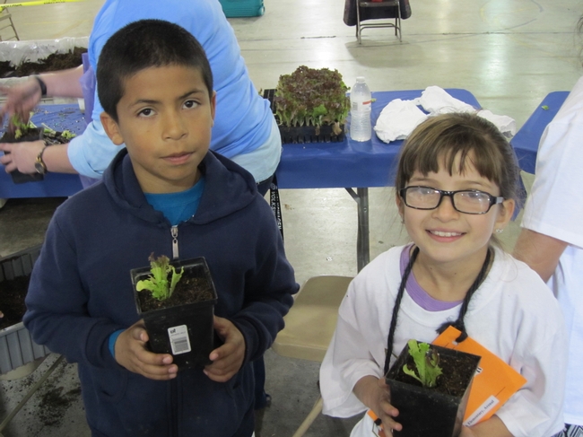 With lettuce seedlings in hand, happy junior gardeners were ready to continue the learning experience at home.