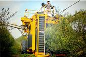 Mechanical harvesting at Corto Olive (Photo by Corto Olive)