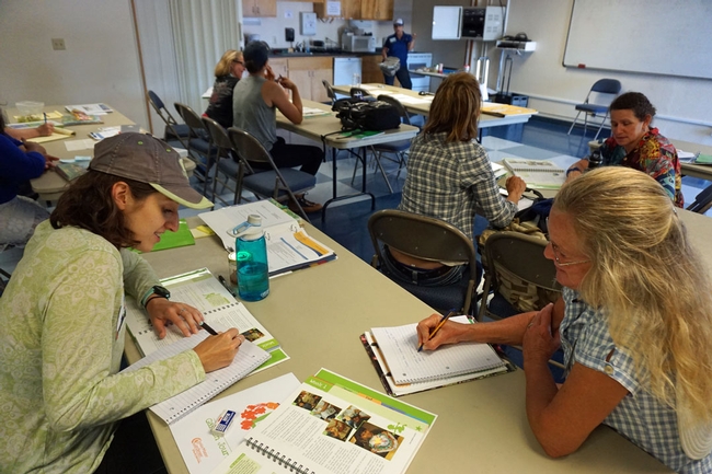 Working in groups of two. In the front are CalPoly master's nutrition student Alyssa Friebert, left, and UC Master Gardener Jill Marie.