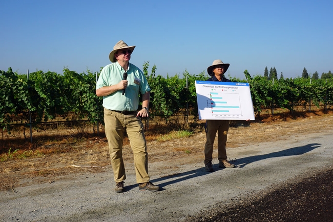 UCCE nematology specialist Andreas Westphal in front of a Cabernet Sauvignon vineyard where nematode treatments are under study. UCCE farm advisor George Zhuang is holding the chart.