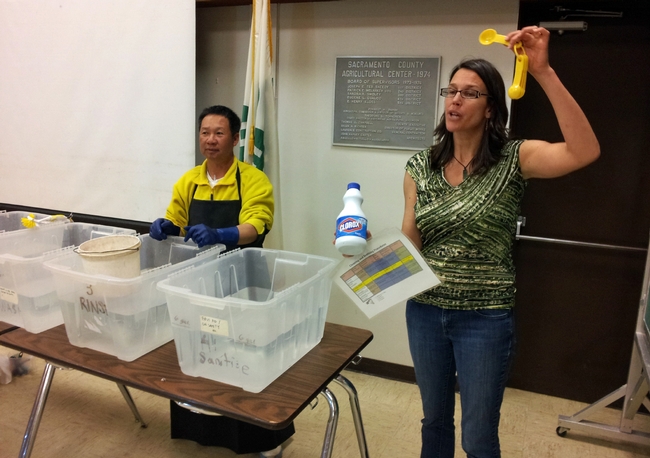 Jennifer Sowerwine describes how to make a sanitizing solution for harvest buckets for food safety.