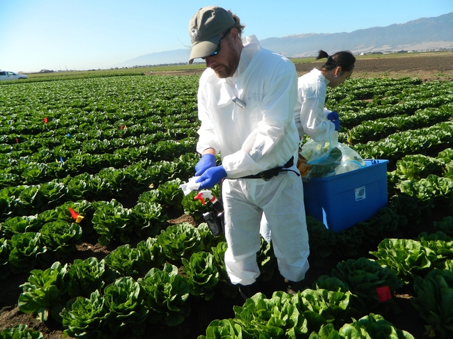 Produce safety training ensuring continued enjoyment of specialty crops ...