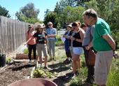 Food Gardening Specialist workshop at the Harvest for the Hungry Garden on May 12, 2018. Tobi Brown, UC Master Gardener, demonstrates how to feed and protect the soil as a garden bed transitions from spring to summer.