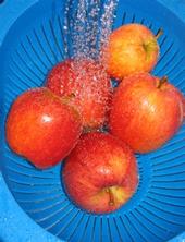 washing-apples-sm