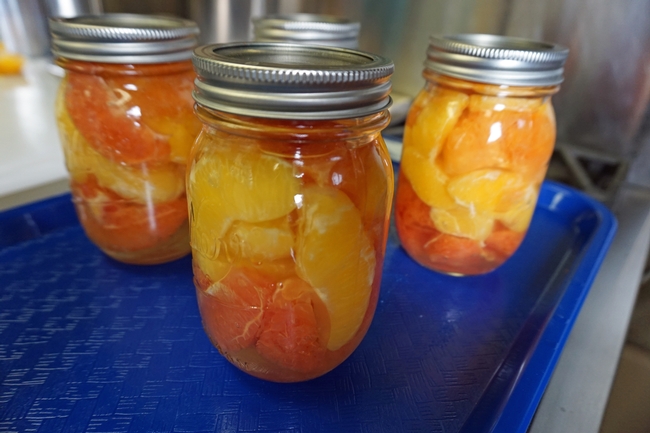 Canned wedges of grapefruit and oranges.