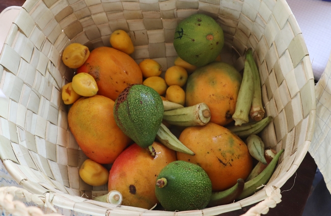 Looking into a basket jumbled with fresh produce, including mangoes, okra and avocados