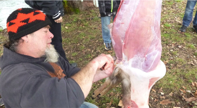 A man wearing a knit cap holds a knife to a partially skinned deer carcass that hangs upside down. The front legs show, but the head hangs below the photo's edge.