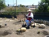 A resident enjoys a 'dry stream bed' in the Veteran's Home Garden.