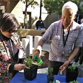 Eden Housing residents are able learn about nutrition, food safety and gardening concurrently at their living facilities.