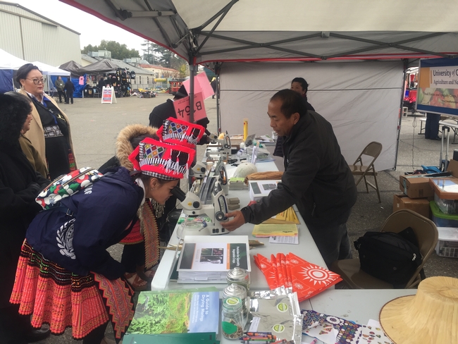 Yang educated the community about beneficial insects at the 2020 Hmong New Year celebration in Fresno.  Photo by Ruth Dahlquist-Willard