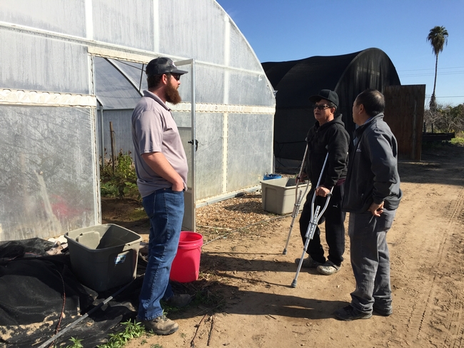 From left, UC Cooperative Extension small farms assistant Jacob Roberson, Her and Yang. The UCCE small farms team in Fresno has helped Her and other small-scale farmers apply for grants from the State Water Efficiency and Enhancement Program to invest in irrigation equipment to save water and reduce their energy costs.