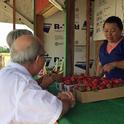 Strawberries sold at farm stands are typically sweeter and more flavorful than varieties sold in stores.