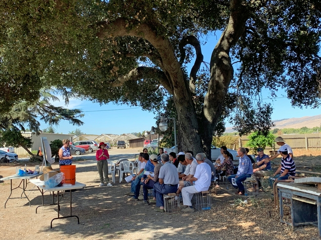 UC Cooperative Extension hosted a nutrient management workshop in September 2019 at a farm. Qi Zhou, in the pink shirt, translated the talk into Mandarin.