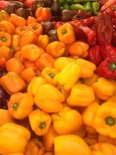 Variety of colorful bell peppers