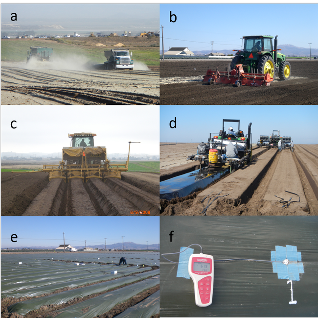 The process of anaerobic soil disinfestation (ASD): a) Broadcast rice bran at a rate of 6 to 9 tons/acre to feed indigenous soil microbes. b) Incorporate rice bran into the soil. c) List beds. d) Lay drip tapes and cover beds with plastic mulch as soon as the incorporation is completed. e) Saturate and then maintain field capacity soil moisture for three weeks. f) Monitor soil redox potential and apply additional water when the soil is becoming aerobic.